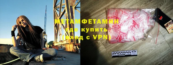 прущие грибы Шадринск