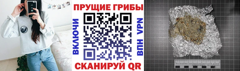 Галлюциногенные грибы GOLDEN TEACHER  KRAKEN ТОР  Выборг 