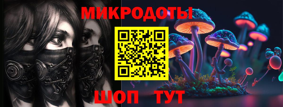 Выборг  Псилоцибиновые грибы прущие грибы  где продают   Галлюциногенные грибы мицелий  Вход с VPN 